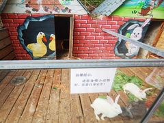 -北京鹿世界主题园