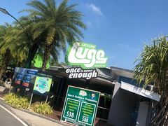 -圣淘沙天际线斜坡滑车