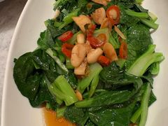豉油椒圈灼鲜生菜-喜来登由由大酒店九州膳坊中餐厅