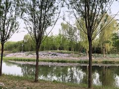 -东郊湿地公园