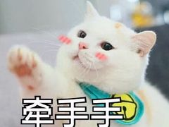 -王记西鎮电烤肉(汶上路店)