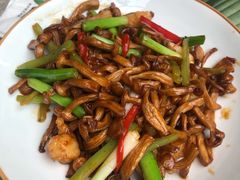 XO酱爆白玉菇虾仁-大树餐厅(红旗街万达店)