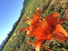 景点-百里山水画廊