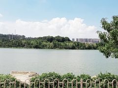 -洛龙公园