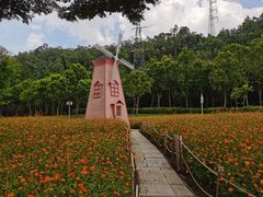 -顺峰山公园