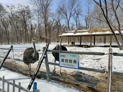 -秦皇岛野生动物园