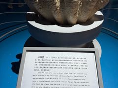 -泉城欧乐堡海洋极地世界