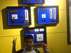 -上海昆虫博物馆