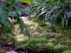 -成都市活水公园