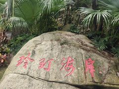 -东澳岛