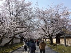 -醍醐寺