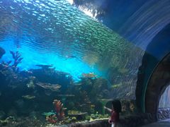 -华夏文旅海洋公园