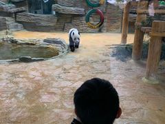 -西霞口神雕山野生动物世界