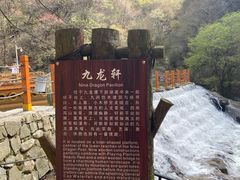 -少华山国家森林公园