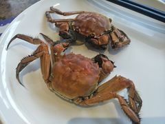 小螃蟹-青岛蓝海大饭店·爱琴海自助餐厅(崂山店)