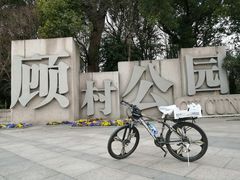 -顾村公园