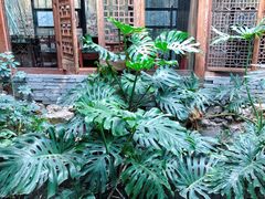 -聚缘堂·海鲜私房菜(松岭路店)