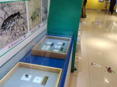 -上海昆虫博物馆