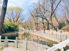 -水西公园