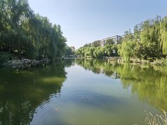 -三忘湖 SWANSEEN(柳荫公园店)