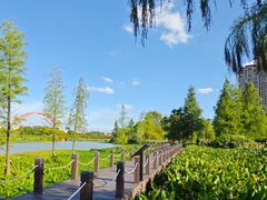 -那考河湿地公园