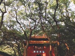 -普陀山风景名胜区-法雨禅寺