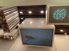 -深圳湾木棉花酒店