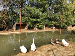 -武汉紫薇都市田园