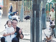 -成都欢乐谷