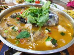 -全乐鱼馆·淳牌有机鱼直营店