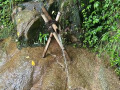 -大鄣山卧龙谷景区