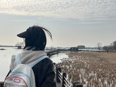 -苏州太湖湖滨国家湿地公园