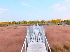 -嘉北郊野公园