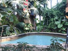 -郑州银基黄帝宫御温泉