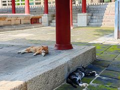 -四门塔风景区