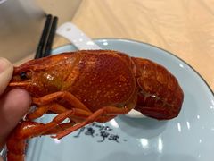 清蒸龙虾（小份）-怪怪龙虾·澳洲蓝龙王·深夜食堂(惊驾路店)