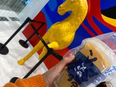 -春丽小马(济南恒隆广场店)