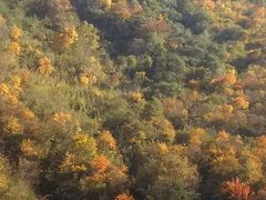 -叠溪松坪沟景区