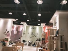 -藏猫猫咖啡主题馆(中央大道店)
