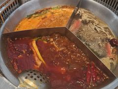 -悦见花开·花园里的火锅·露营·下午茶