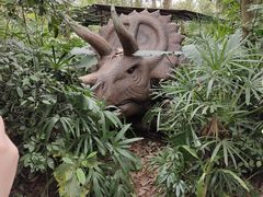 -海南热带野生动植物园