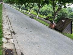 -上海鲜花港