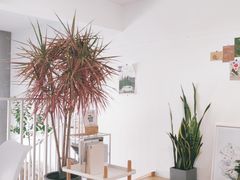 -隹木咖啡馆(宝龙广场店)