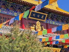 -西安市广仁寺