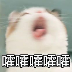 -白夜刺青
