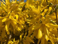 -中关村生命科学园