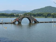 -鲁镇
