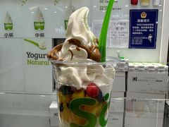 -Salud撒露欧洲冻酸奶(蓝色港湾店)