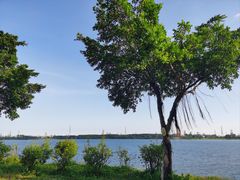 -露天矿生态公园