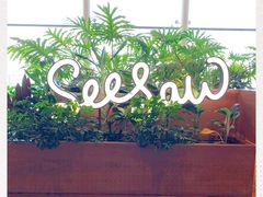 -Seesaw Coffee(朝阳大悦城店)